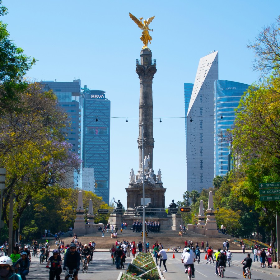 MEXICO EXPORTAR VINO