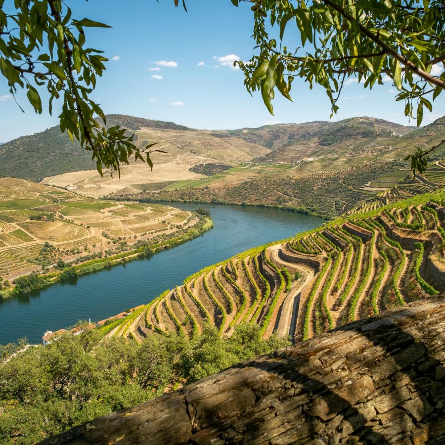 Exportación vinos de España